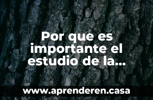 Por que es importante el estudio de la electrostatica