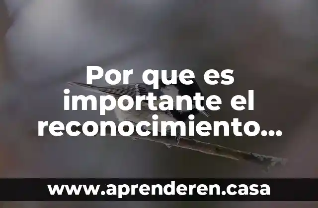 Que es un reconocimiento inicial de obra 6 Por que es importante el reconocimiento del otro