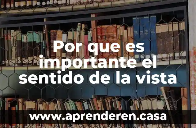 Por que es importante el sentido de la vista