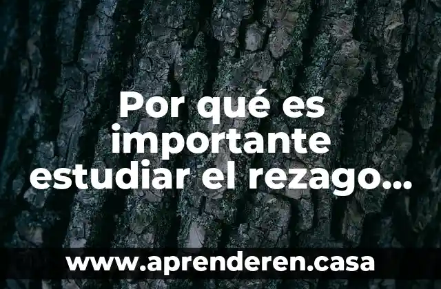 Por qué es importante estudiar el rezago educativo