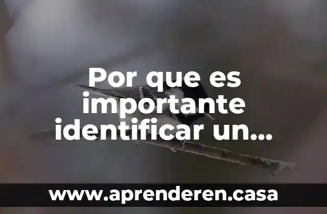 Por que es importante identificar un problema pedagogico