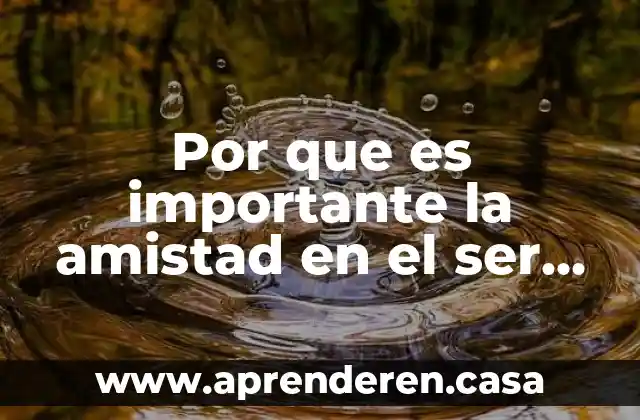 Por que es importante la amistad en el ser humano