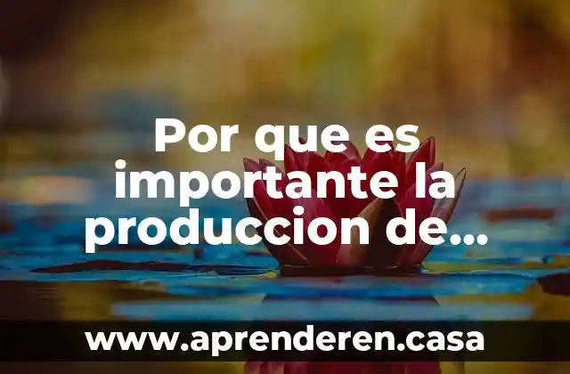 Qué es gestión sustentable de bienes y gobernanza global 5 Por que es importante la produccion de bienes y servicios