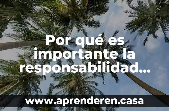 Por qué es importante la responsabilidad social en la empresa