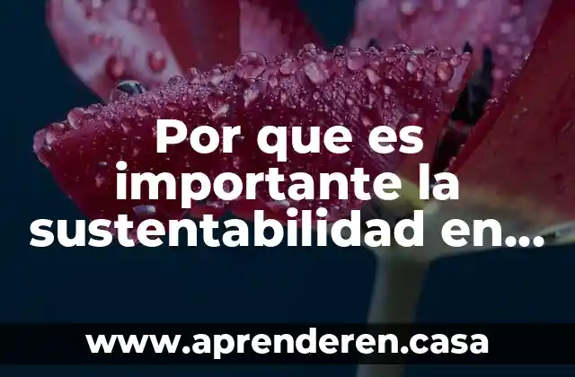 Por que es importante la sustentabilidad en la escuela