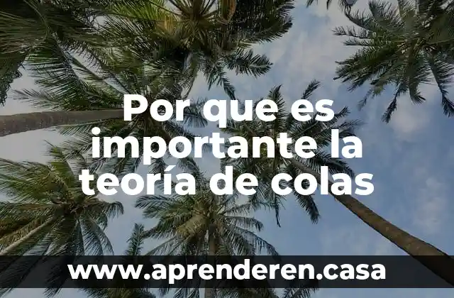 Por que es importante la teoría de colas