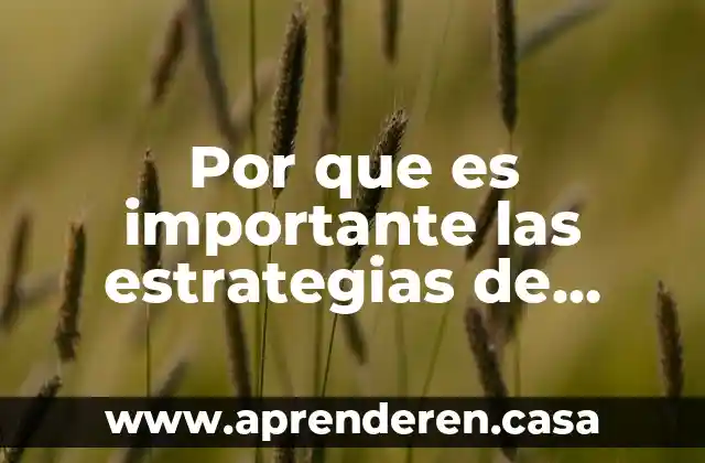 Estrategias de aprendizaje significativo que es 4 Por que es importante las estrategias de aprendizaje