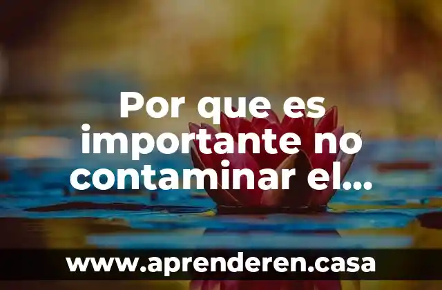 Por que es importante no contaminar el agua