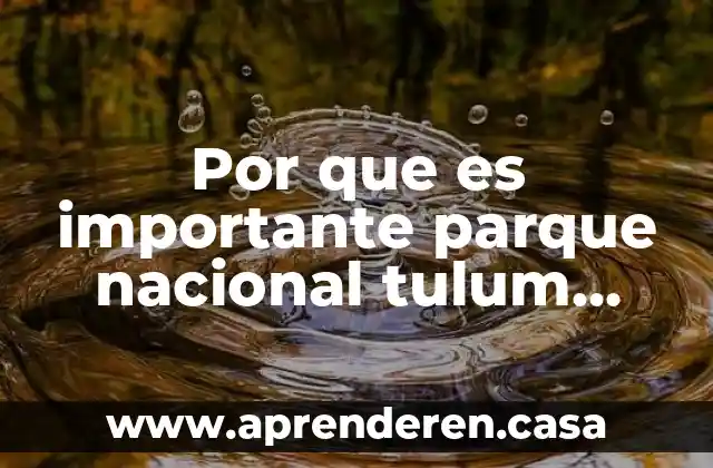 Por que es importante parque nacional tulum quintana roo