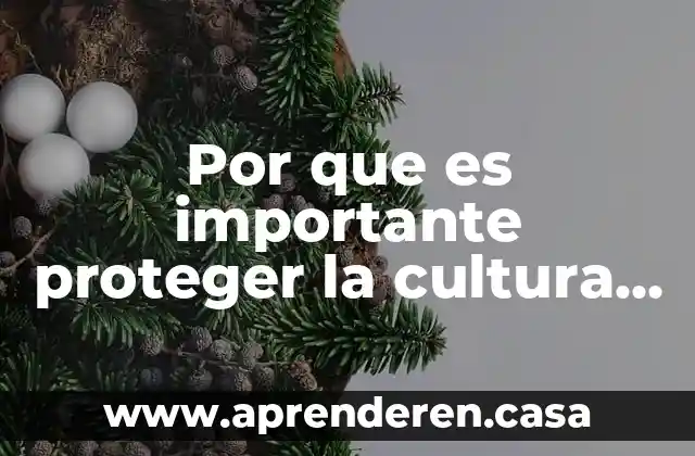 Por que es importante proteger la cultura zapoteca