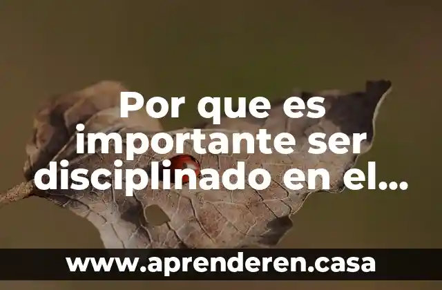 Por que es importante ser disciplinado en el ambito educativo