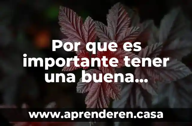 Por que es importante tener una buena alimntación