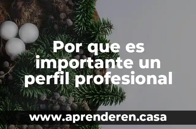 Que es el perfil internacional 7 Por que es importante un perfil profesional