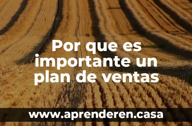 Por que es importante un plan de ventas