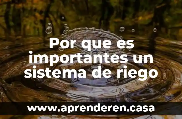 Que es la eficiencia de un sistema de riego 5 Por que es importantes un sistema de riego