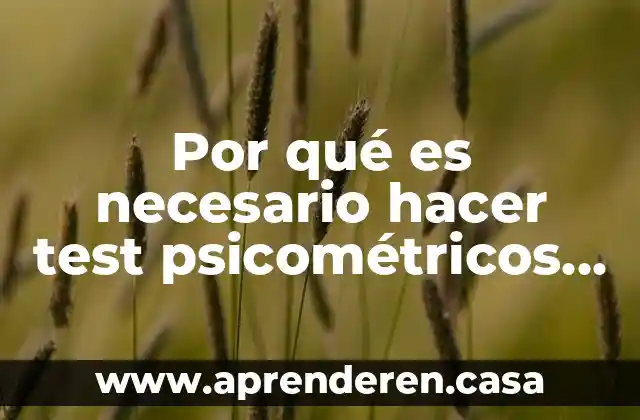 Por qué es necesario hacer test psicométricos a gerentes
