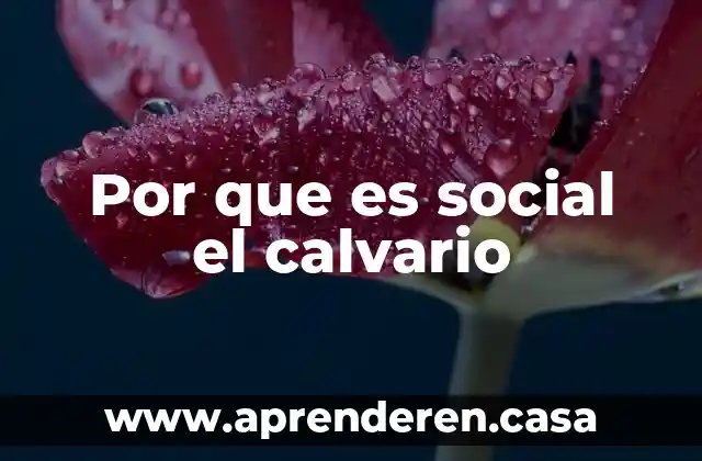 Que es pulcritud social 5 Por que es social el calvario