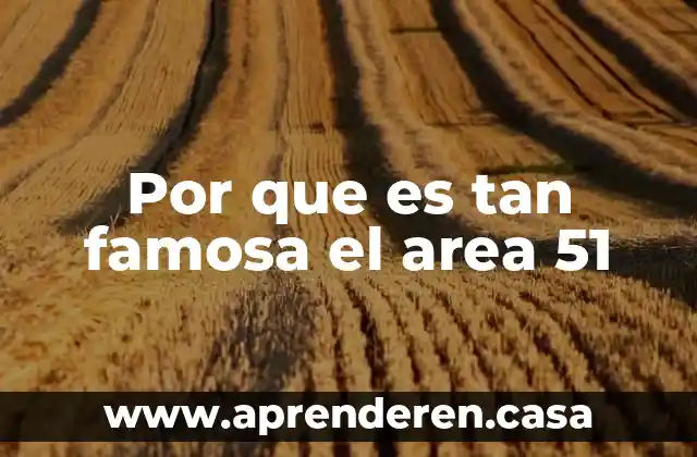 Que es el area de absorcion en una casa 3 Por que es tan famosa el area 51