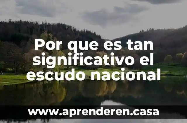 Por que es tan significativo el escudo nacional