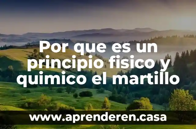 Por que es un principio fisico y quimico el martillo