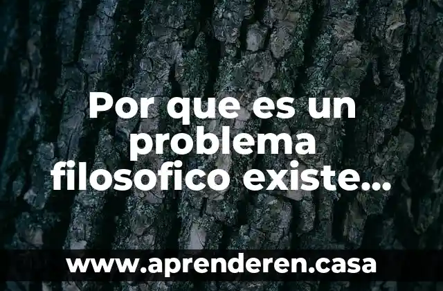 Que es la formulación y sistematización del problema 3 Por que es un problema filosofico existe dios
