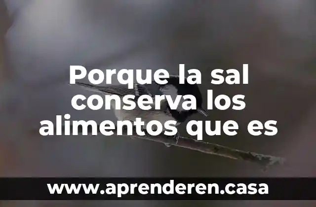 Porque la sal conserva los alimentos que es