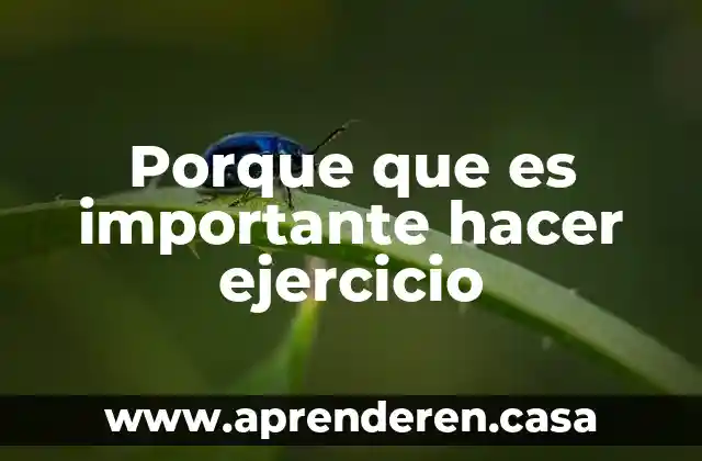 Porque consideras que es importante esa empresa 5 Porque que es importante hacer ejercicio