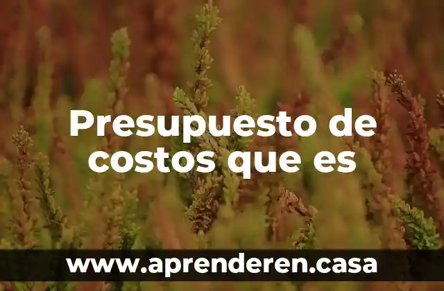 Que es un centro de costos contabilidad 8 Presupuesto de costos que es
