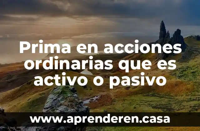 Iva acreditable que es activo o pasivo 3 Prima en acciones ordinarias que es activo o pasivo