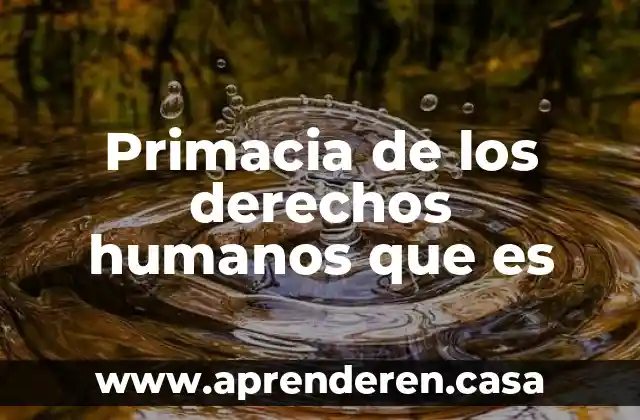 Que es perspectiva de genero derechos humanos 7 Primacia de los derechos humanos que es