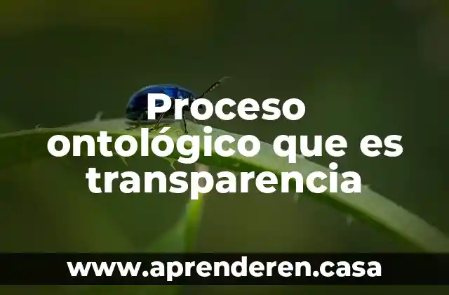 Proceso ontológico que es transparencia