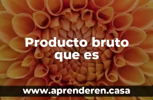 Producto bruto que es