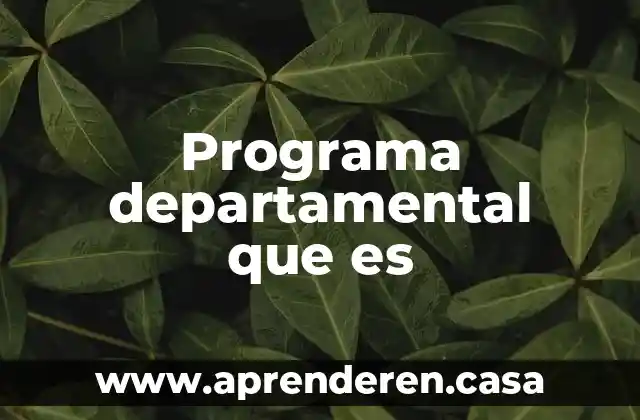 Que es el programa cyberlink power2go 6 Programa departamental que es