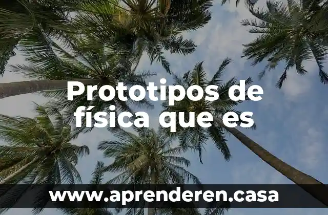 Prototipos de física que es