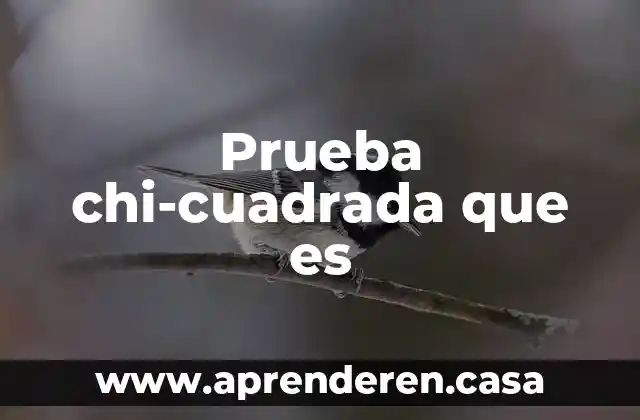 Prueba chi-cuadrada que es