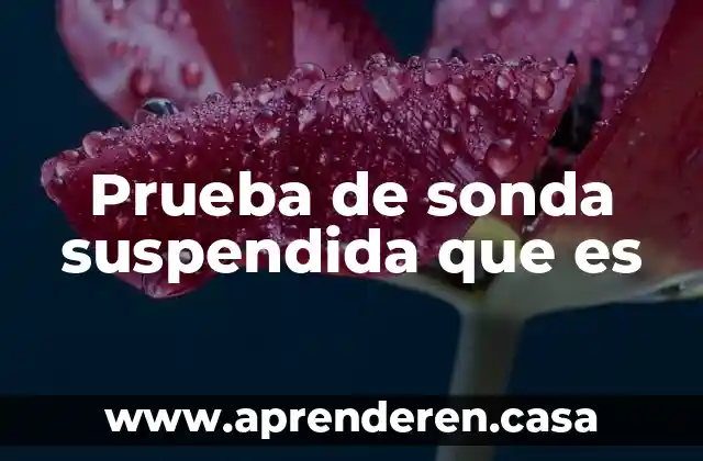 Prueba de sonda suspendida que es