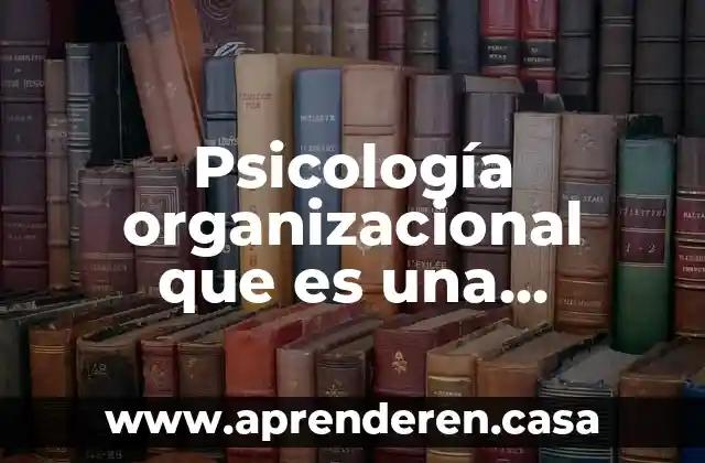 Para que es necesaria la organizacion 3 Psicología organizacional que es una organización