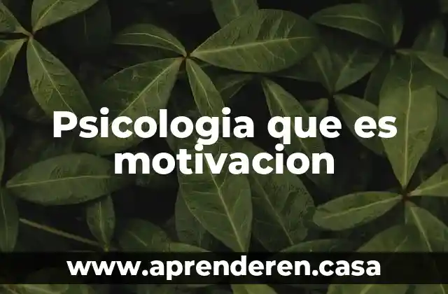 Psicologia que es motivacion