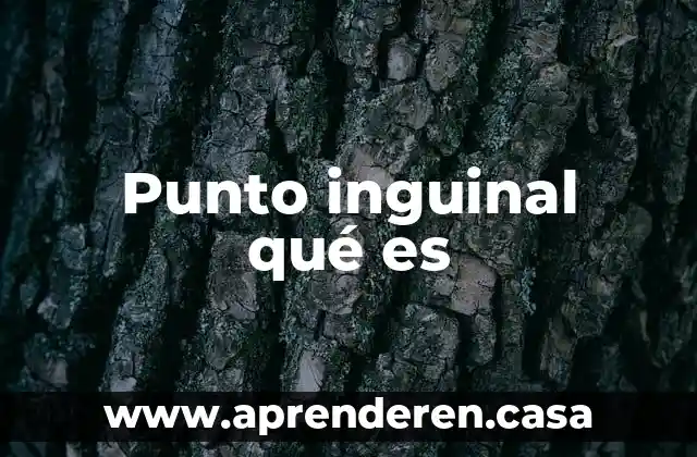 Punto inguinal qué es
