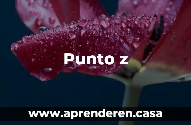 Punto z