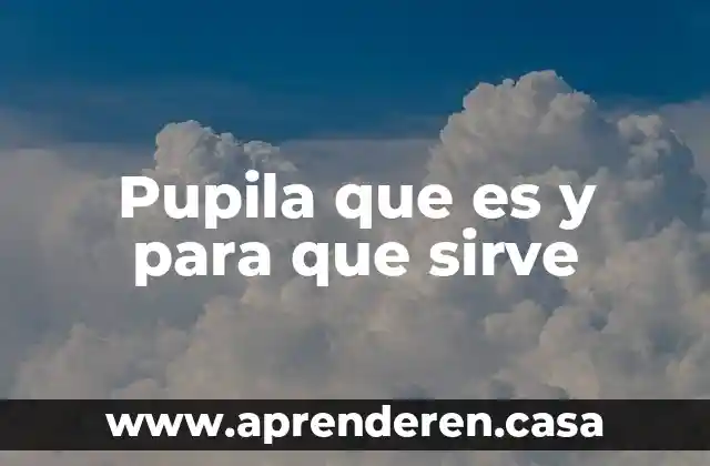 Femafee que es y para que sirve 7 Pupila que es y para que sirve