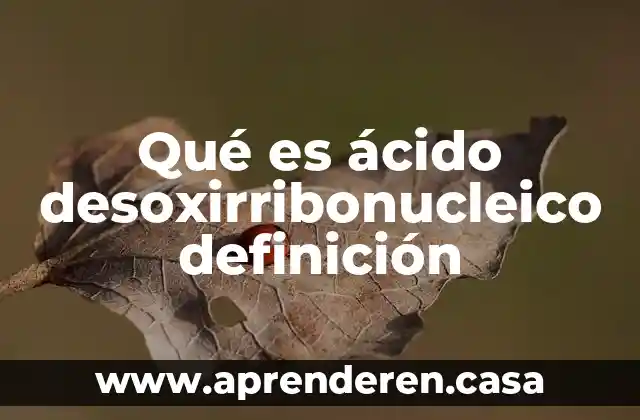 Qué es ácido desoxirribonucleico definición