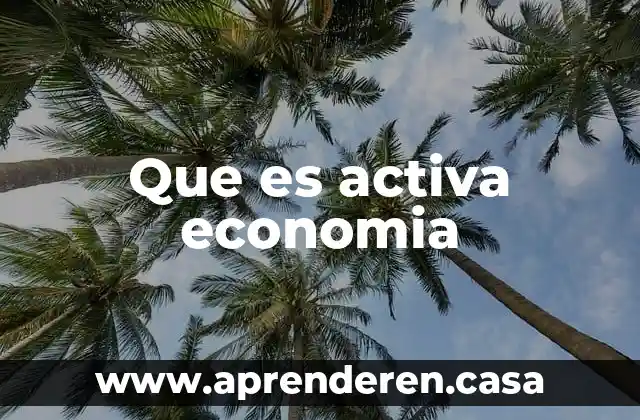 Que es activa economia