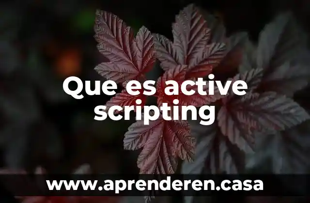Qué es Active Windows Search 3 Que es active scripting