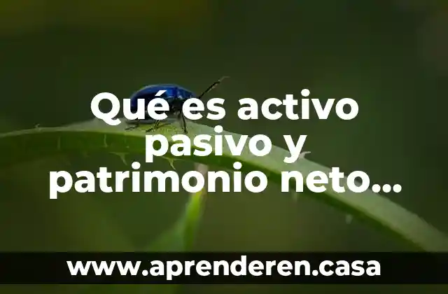 Qué es activo pasivo y patrimonio neto Yahoo