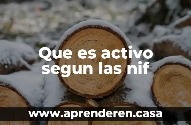 Que es activo segun las nif