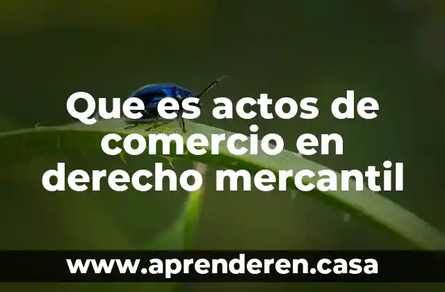 Que es actos de comercio en derecho mercantil