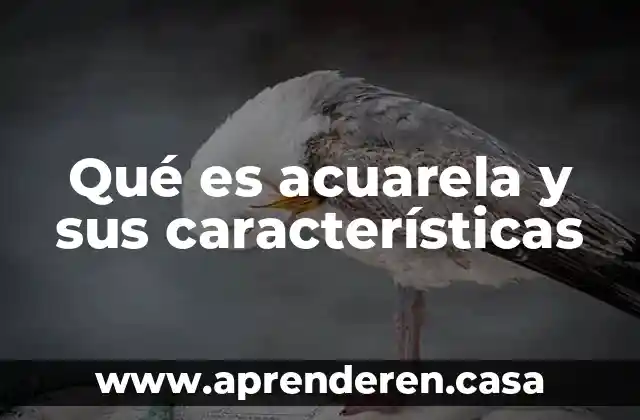 Qué es acuarela y sus características