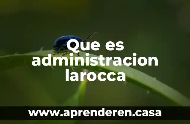 Que es administracion larocca