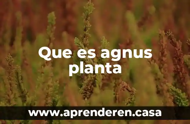 Que es agnus planta